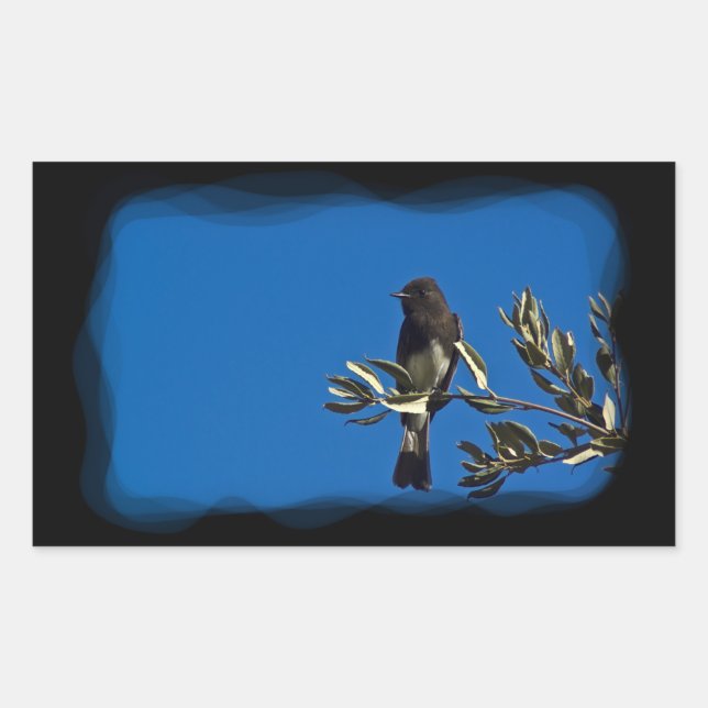 Adesivo Retangular Fly Catcher (Frente)