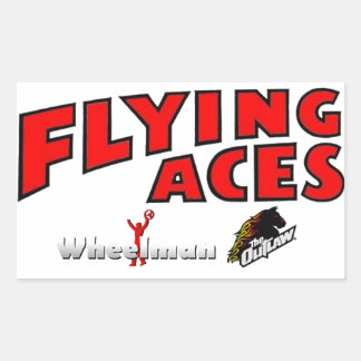 Adesivo Retangular Flying Aces Outlaw e Wheelman Sticker