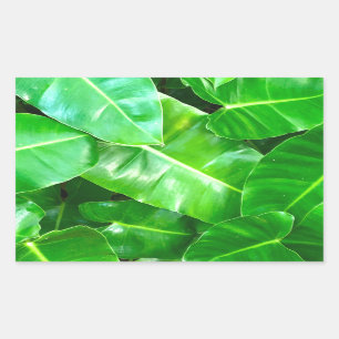 Adesivo Retangular Folha verde tropical