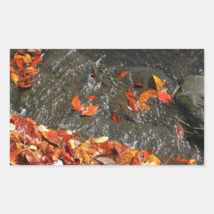 Adesivo Retangular Folhas de Outono na Cachoeira I Fotografia de Outo