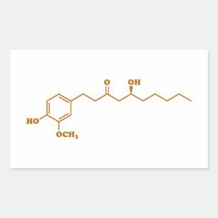 Adesivo Retangular Fórmula química da molécula de Gingerol do