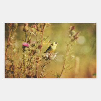 Adesivo Retangular Foto Goldfinch
