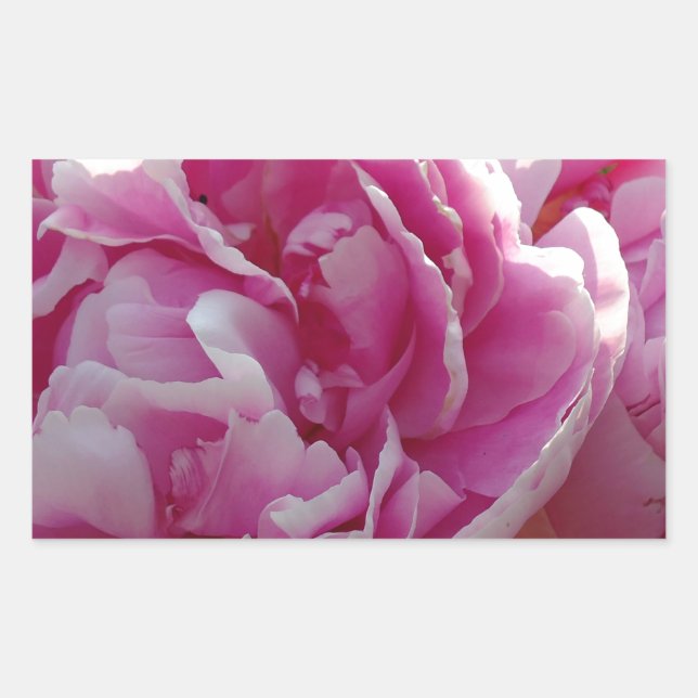 Adesivo Retangular Foto rosa de Peony caseiro caseiro caseiro floral (Frente)