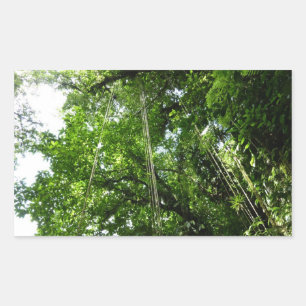 Adesivo Retangular Fotografia da Floresta Tropical de Jungle Ropes