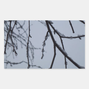 Adesivo Retangular Fotografia da natureza do inverno em Icy Branches