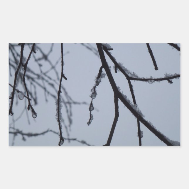 Adesivo Retangular Fotografia da natureza do inverno em Icy Branches (Frente)