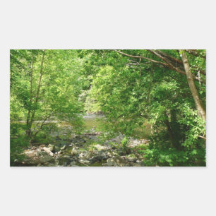 Adesivo Retangular Fotografia da Natureza do Rio Patapsco em Maryland