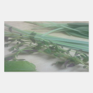 Adesivo Retangular Fotografia de Herbos Antiquados