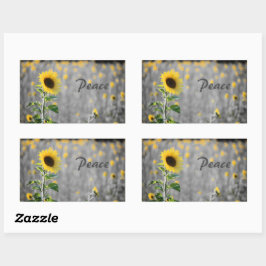 Adesivo Retangular Frase "Paz", Campo de Girassóis, Preto e Branco