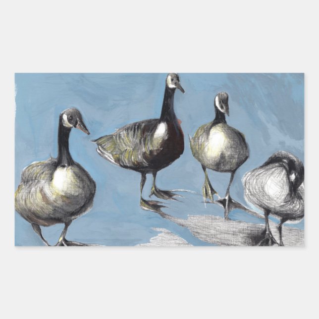Adesivo Retangular Friendly Canada Geese 2012 (Frente)
