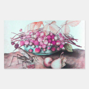 ADESIVO RETANGULAR FRUTAS/MALHAS E PERAS DA SEASON