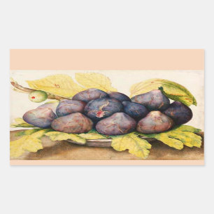 ADESIVO RETANGULAR FRUTAS/PLACA DA SEASON COM TAMPA E FOLHAS VERDES