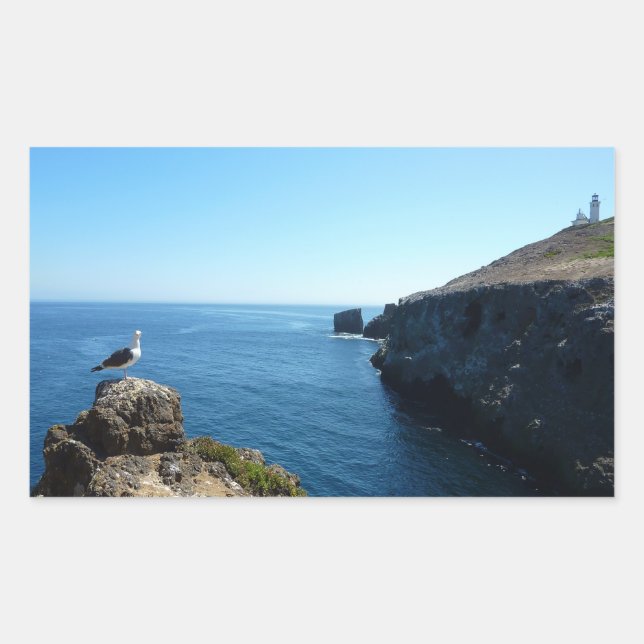Adesivo Retangular Gaivota na Ilha Anacapa nas Ilhas do Canal (Frente)