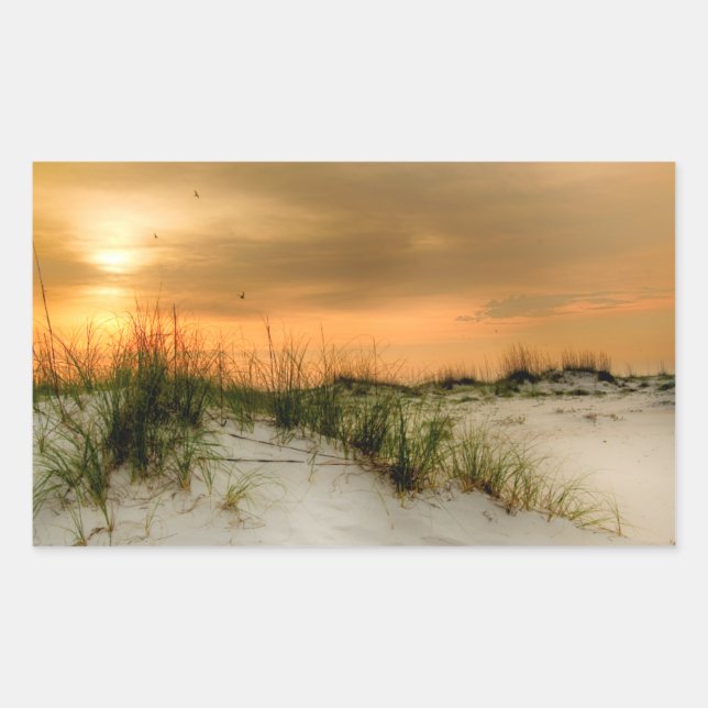 Adesivo Retangular Gaivotas no nascer do sol (Frente)