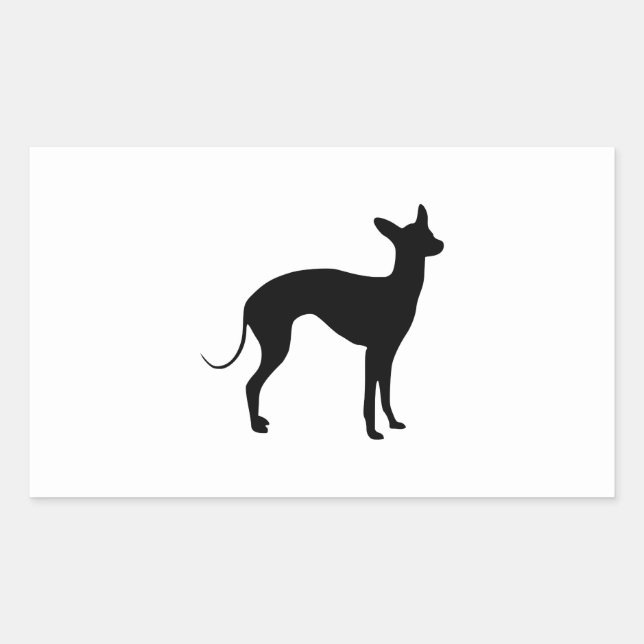 Adesivo Retangular Galgo Italiano (Frente)