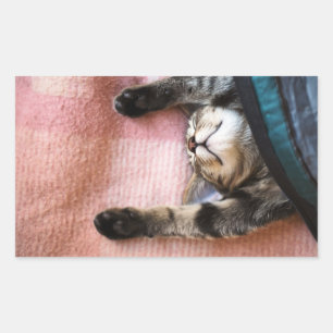 Adesivo Retangular Gatinho Snoozing