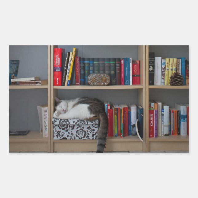 Adesivo Retangular Gato bonito dormindo na livraria (Frente)