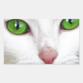 Adesivo Retangular Gato Branco com Olhos Verdes Emerald