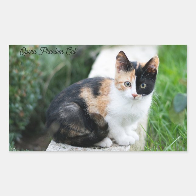 Adesivo Retangular Gato Fantasma da Ópera (Frente)