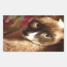 Adesivo Retangular Gato Marrom Bonito