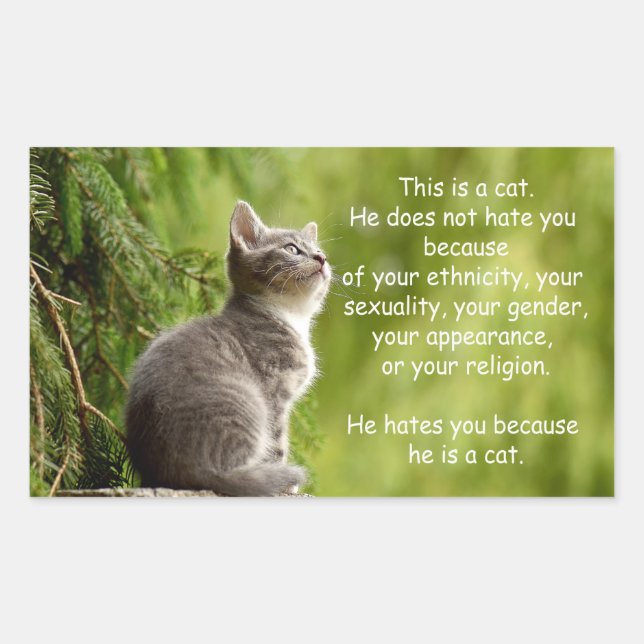 Adesivo Retangular Gatos (Frente)