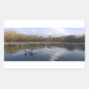 Adesivo Retangular Geese Perch no Parque de West Santo Paul