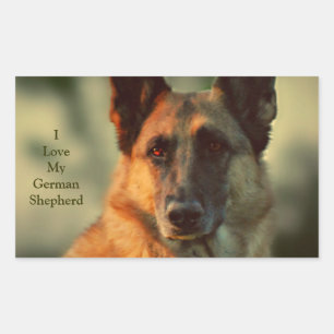 Adesivo Retangular German shepherd
