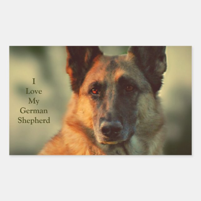 Adesivo Retangular German shepherd (Frente)