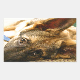 Adesivo Retangular German shepherd