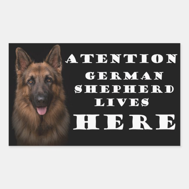 Adesivo Retangular German shepherd de atenção vive aqui. (Frente)