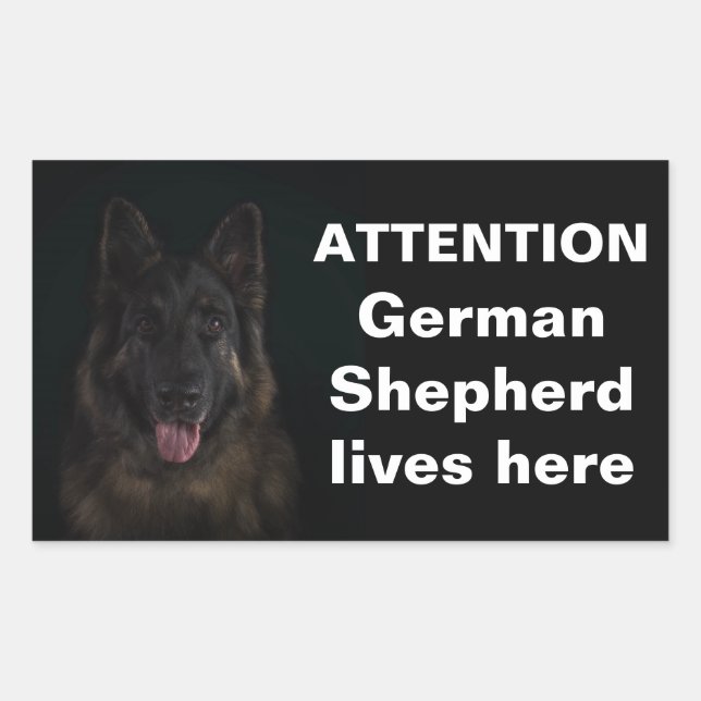 Adesivo Retangular German shepherd de atenção vive aqui (Frente)