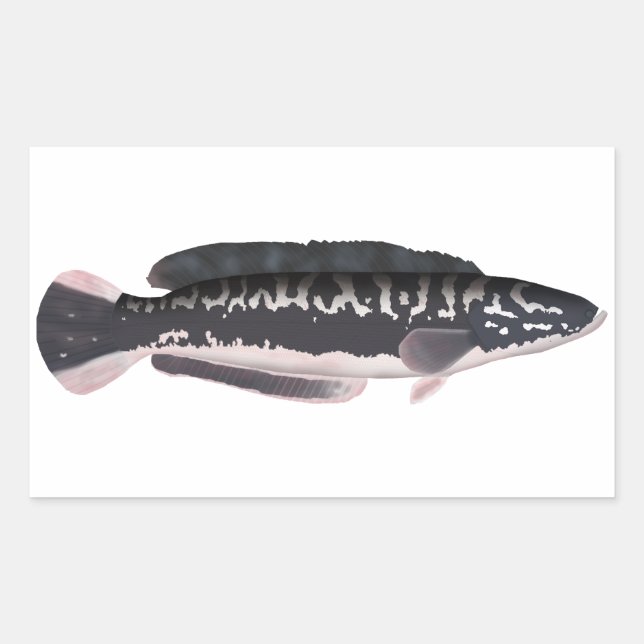 Adesivo Retangular Giant Snakehead (Frente)