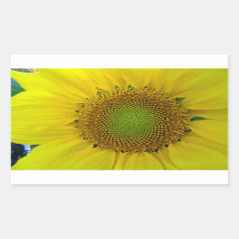 Adesivo Retangular Girassol e sementes, espiral, rácio Ouro