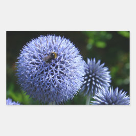 Adesivo Retangular Globe Thistle Flowers Sticker