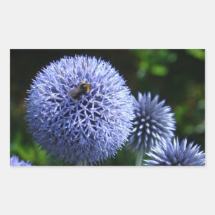 Adesivo Retangular Globe Thistle Flowers Sticker