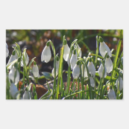 Adesivo Retangular Gotas de neve