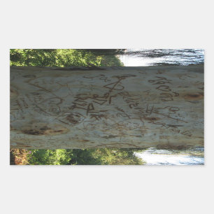 Adesivo Retangular Grafites tailandeses da árvore