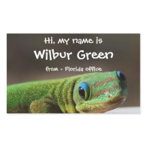 Grande Crachá de nome da lagartixa sorridente