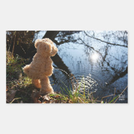 Adesivo Retangular Grappige beer die ondeugend plast.