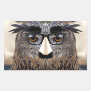 Adesivo Retangular Groucho Marx Eagle Owl