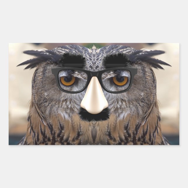 Adesivo Retangular Groucho Marx Eagle Owl (Frente)