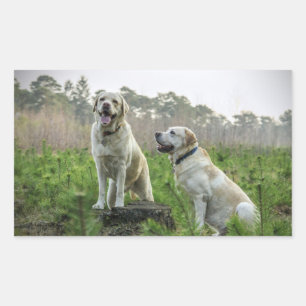 Adesivo Retangular Grupo Yellow Lab