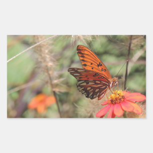Adesivo Retangular Gulf Fritillary em Zínia