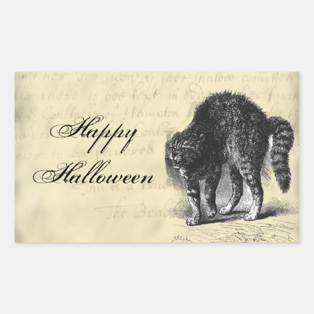 Adesivo Retangular Halloween de gato petrificado (Frente)