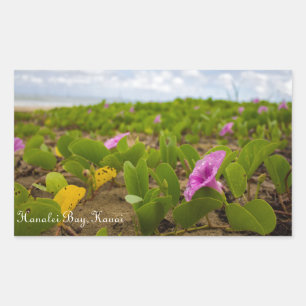 Adesivo Retangular Hanalei Bay, Kauai Flower Autocolante de imagem
