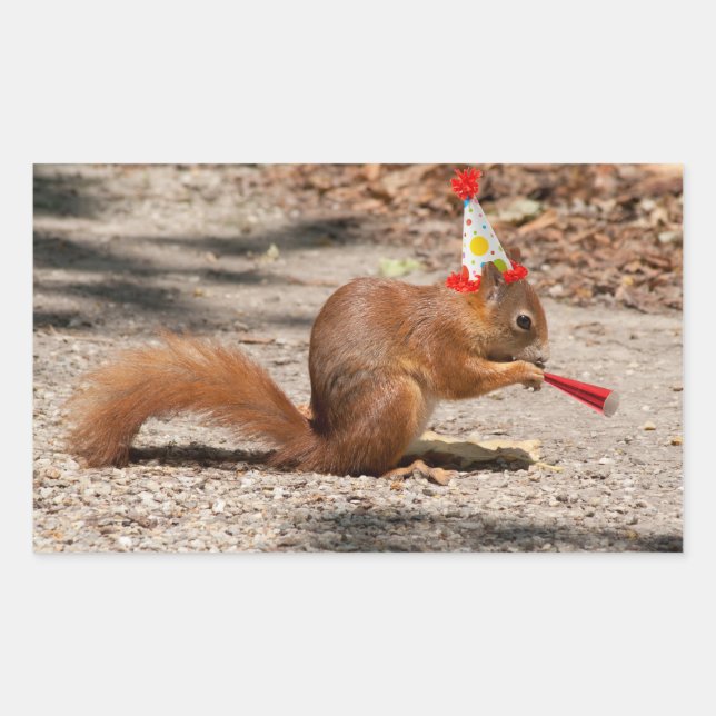 Adesivo Retangular Happy Birthday Squirrel (Frente)