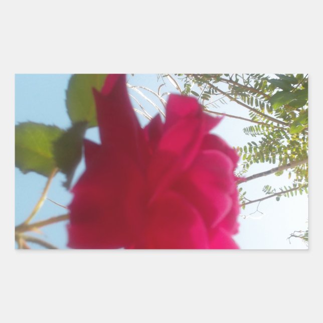 Adesivo Retangular Heavenly Bloom: Um Rosa Contra o Céu (Frente)