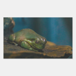 Adesivo Retangular Hora do Nap