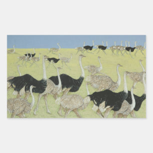 Adesivo Retangular Horas de ponta