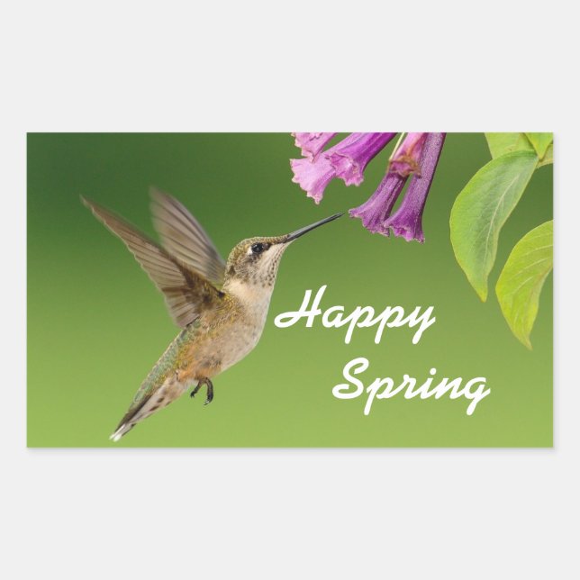 Adesivo Retangular Hummingbird Happy Primavera (Frente)